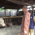 Jelang Iduladha, Tim Kesehatan Hewan Polman Periksa Puluhan Sapi Kurban