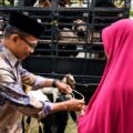 Bupati Polman Salurkan 338 Ekor Kambing untuk Warga Kurang Mampu di Wonomulyo