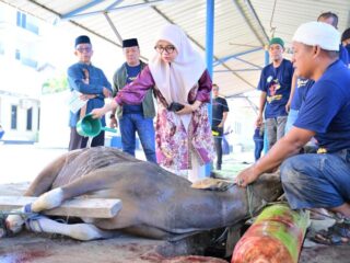 Iduladha 1447 H, Perumda Air Minum Makassar Sembelih 7 Ekor Sapi Kurban untuk Warga dan Panti Asuhan