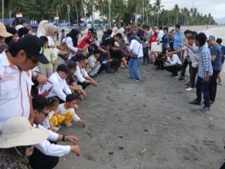 Pemprov Sulbar Dorong Festival Penyu Mampie Masuk Kalender Event Nasional
