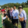 Bupati Polman Lakukan Tanam Perdana dengan Rice Transplanter, Dorong Efisiensi dan Swasembada Pangan