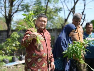 15 Titik Urban Farming Makassar Mulai Beroperasi, Pemkot Perkuat Ketahanan Pangan Perkotaan