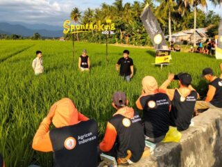 Agricon Indonesia Dampingi Petani Polman Kendalikan Hama, Dukung Swasembada Pangan Nasional