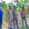 Bupati Samsul Mahmud Komandoi Damkar Selamatkan 250 Hektare Sawah Kekeringan dari Ancaman Gagal Panen