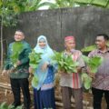 KWT Cinta Manggala Buktikan Urban Farming Bisa Jadi Ladang Rezeki