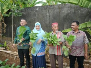 KWT Cinta Manggala Buktikan Urban Farming Bisa Jadi Ladang Rezeki