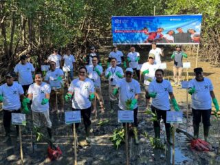 Dukung InJourney Green, Bandara Sultan Hasanuddin Dorong Pengembangan Ekowisata Mangrove di Maros