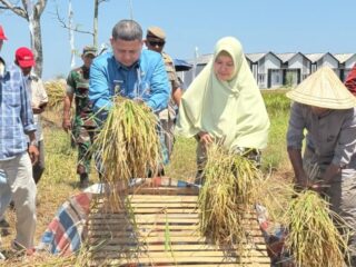 Hadapi Kekeringan, Pemkot Makassar Dorong Teknologi Pertanian hingga Greenhouse