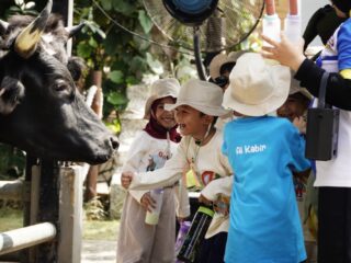 Siswa SD Islam Athirah Racing Centre Kenali Proses Produksi dan Kehidupan Satwa di Cimory Dairyland